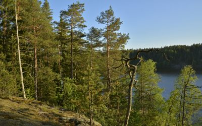 Juhlitaan 100-vuotiasta Suomea ja Kirkkonummen upeaa luontoa!